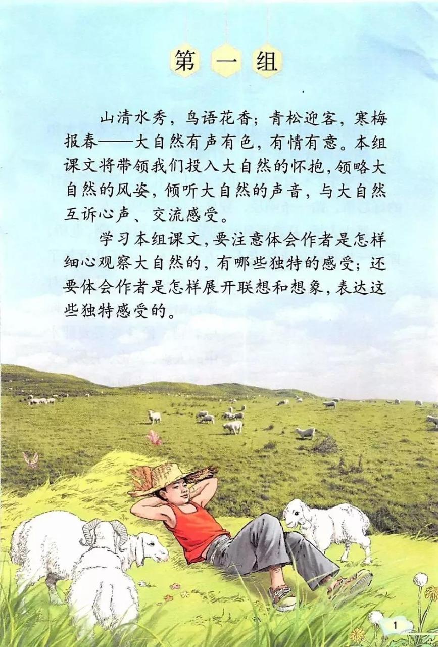山中访友课文教案（山中访友原文）