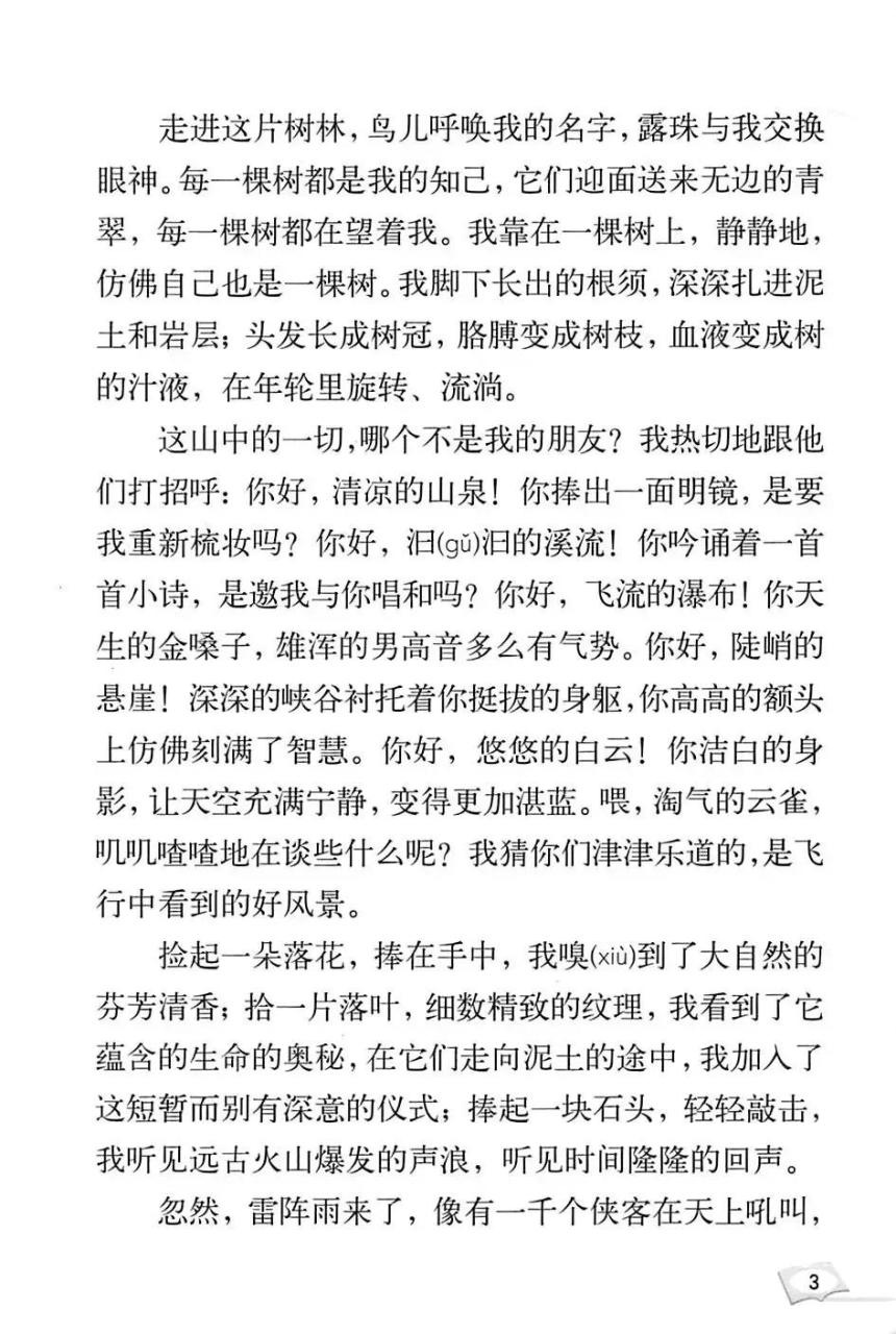 山中访友课文教案（山中访友原文）
